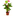 Favicon van melimex.nl