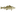 Favicon van merelcorduwener.com