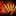 Favicon van metalphoto.org