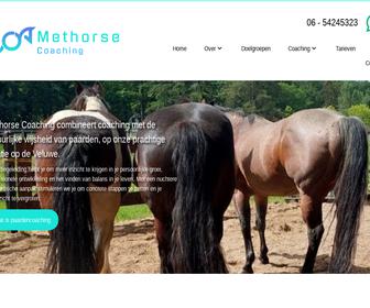 Methorse Coaching