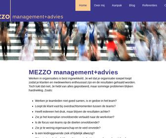 MEZZO management+advies