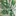 Favicon van mikes-tropical-garden.nl