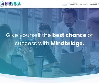 http://www.mindbridge-solutions.com