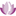 Favicon van moaimomint.nl