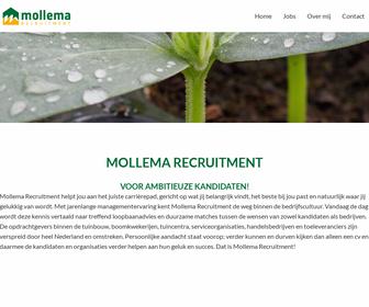 Mollema Consulting