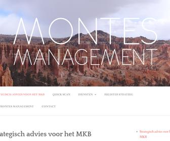 http://www.montesmanagement.nl