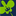 Favicon van mssales.nl