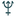 Favicon van muurpathologie.nl