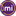 Favicon van mulierinstituut.nl