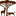 Favicon van musango-reizen.nl