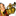 Favicon van muziekboot.nl