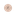 Favicon van myrtezuiver.nl
