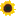 Favicon van myanmarzonnebloem.nl