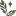 Favicon van mysticscribbles.com