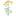 Favicon van nancy-north.com