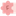 Favicon van nannyservicefleur.nl