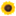 Favicon van naomimodde.com