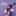Favicon van naomisnell.com
