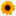 Favicon van natalievijfhuizen.nl
