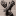 Favicon van natasjabennink.nl