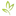 Favicon van Naturalbeautyzone.nl