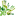 Favicon van naturalmassage.nl
