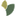 Favicon van natuurcompleet.nl