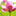 Favicon van natuurenmilieucentrumweert.nl