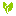 Favicon van natuurlijkbesteld.nl