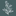 Favicon van natuurlijke-schoonheid.nl