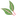 Favicon van natuurlijkvoordeel.nl