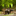 Favicon van natuurrondleidingen.nl