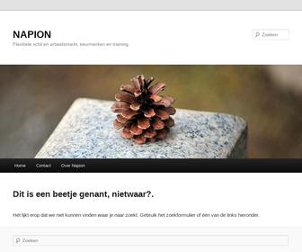 http://www.napion.nl