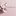 Favicon van neipraktijkfemke.nl