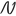 Favicon van nexavelo.nl