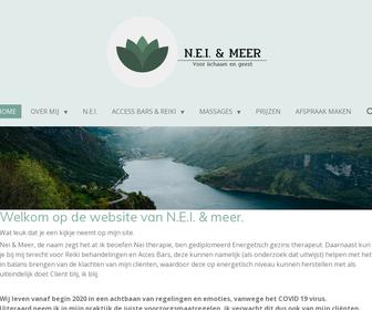 N.E.I. & Meer