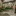 Favicon van nicolebolton.nl
