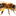 Favicon van nijlandwonen.nl