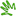 Favicon van nikkids.nl