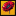 Favicon van nikkybloemen.nl
