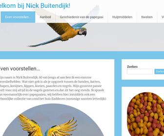 http://www.nickbuitendijk.nl