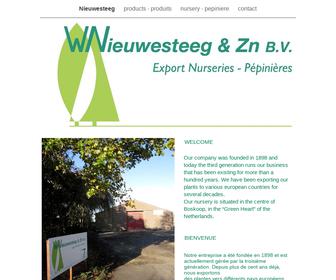 W. Nieuwesteeg & Zn. B.V.