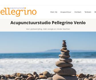 Acupunctuurstudio Pellegrino