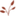 Favicon van nookinterior.nl