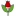 Favicon van noten-bloemen.nl