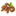 Favicon van notenkraam.nl