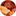 Favicon van notenpaleis.nl