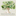 Favicon van novastrada.nl