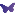 Favicon van nunazorg.nl