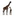 Favicon van nwabisa.com